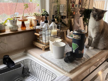 sink accessories