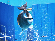 Six Flags Discovery Kingdom