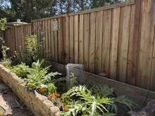 vegetable garden