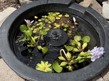 water tub fountain