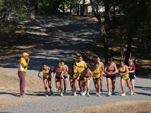 XC