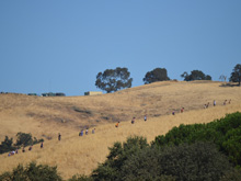 XC
