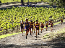 XC Meet