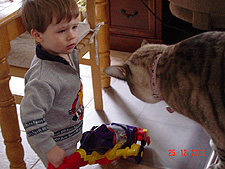Lily watching Hunter vacuum.